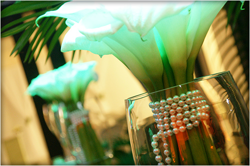 Decora&ccedil;&otilde;es &ndash; Luz & Arte